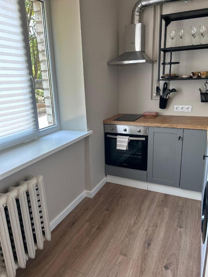Skandi Appartments In Saldus City Center Екстериор снимка