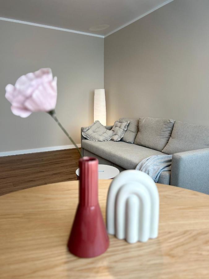 Skandi Appartments In Saldus City Center Екстериор снимка
