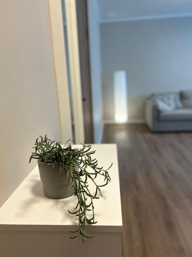 Skandi Appartments In Saldus City Center Екстериор снимка