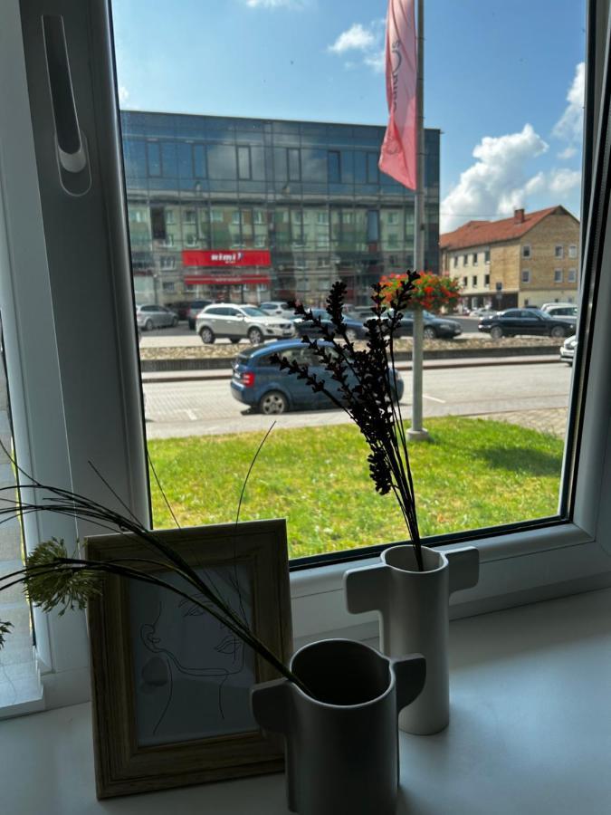 Skandi Appartments In Saldus City Center Екстериор снимка