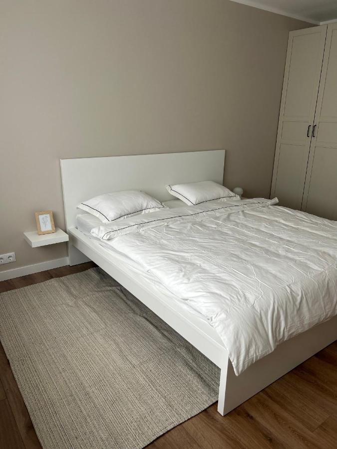 Skandi Appartments In Saldus City Center Екстериор снимка